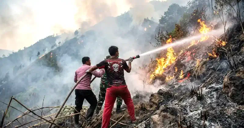 Relawan dan petugas terkait berupaya memadamkan api yang membakar vegetasi di lereng Gunung Lokon, Tomohon, Sulawesi Utara, Selasa, 13 Oktober 2026.